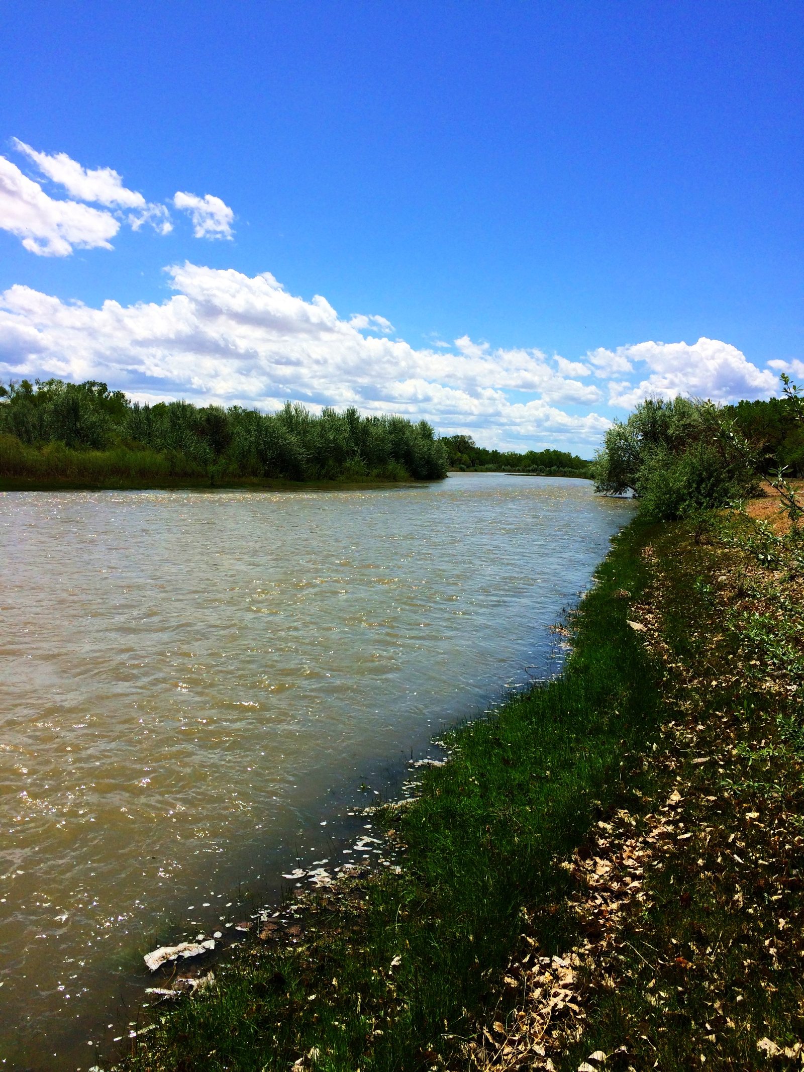 The Rio Grande below the house, cottonwoods along the far bank