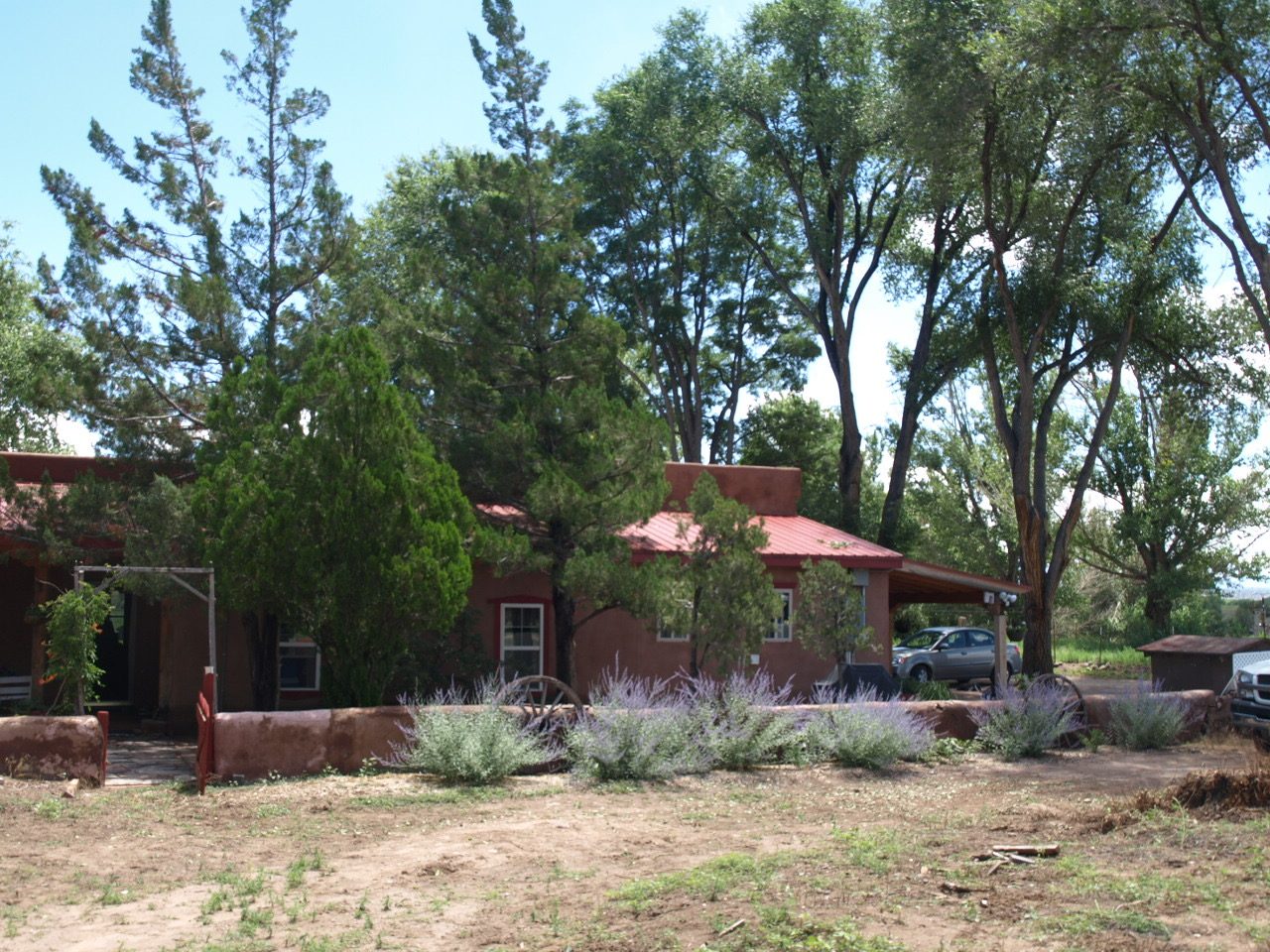 The adobe house at Peña Blanca under old cottonwoods, with Russian sage along the wall